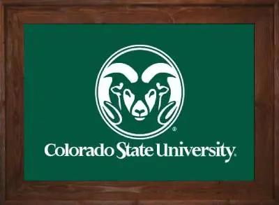 Framed Colorado State Flag 2 Framed Colorado State Flag - Image 2