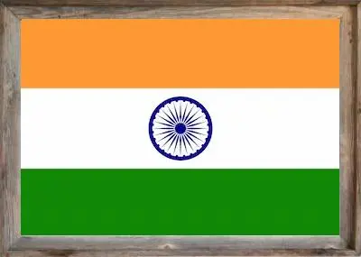 Framed Indian Flag