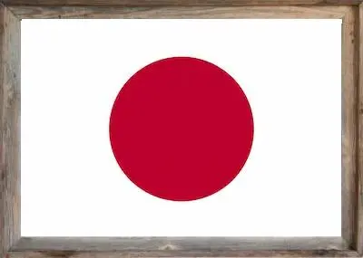 Framed Japan Flag