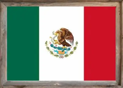 Framed Mexican Flag