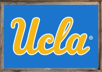 Framed UCLA Flag