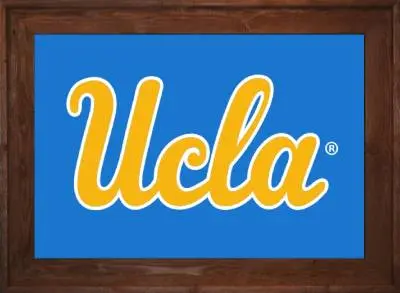 Framed UCLA Flag 2 Framed UCLA Flag Dark