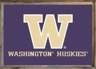 Framed Washington University Flag