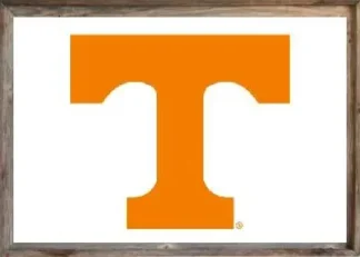 Framed White Tennessee University Flag