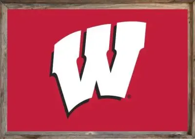 Framed Wisconsin Badgers Flag