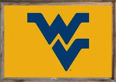 Framed wvu Flag