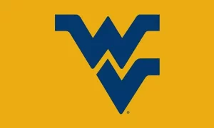 West Virginia University Flag Image