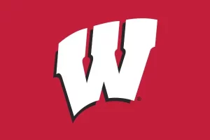 Wisconsin University Flag Image