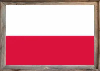 Framed Polish Flag