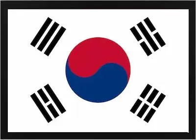 Framed South Korea Flag 3 Framed South Korea Flag Black