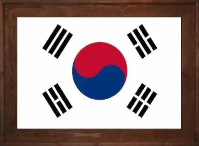 Framed South Korea Flag 2 Framed South Korea Flag Dark