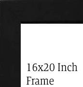 $130 - 16x20 Black Frame