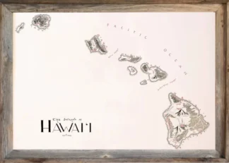 Framed Hawaii Map