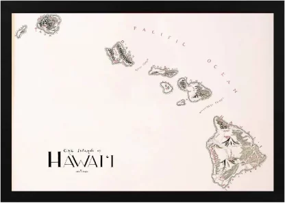 Framed Hawaii Map Black
