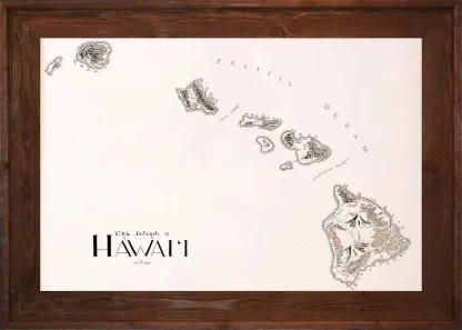 Framed Hawaii Map - Image 3