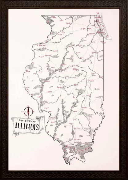 Framed Illinois Map - Image 4