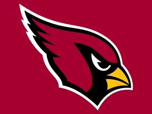 Arizona Cardinals Flag 3x5
