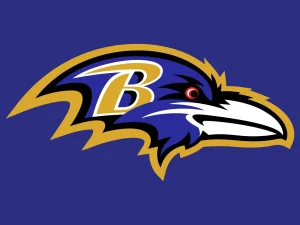 Baltimore Ravens Logo Framed Baltimore Ravens Flag