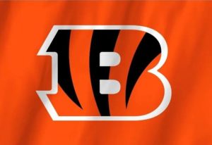 Cincinnati Bengals Flag