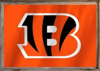 Framed Cincinnati Bengals Flag 3x5
