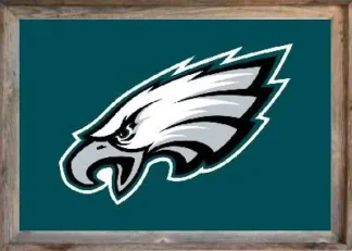 Framed Philadelphia Eagles Flag 3x5