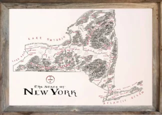Framed New York Map