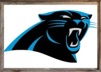 Carolina Panthers Flag 3x5
