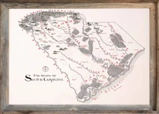 Framed South Carolina Map