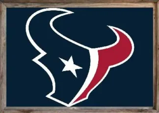 Framed Houston Texans Flag 3x5