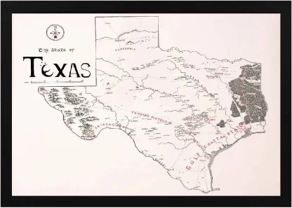 Framed Texas Map Black