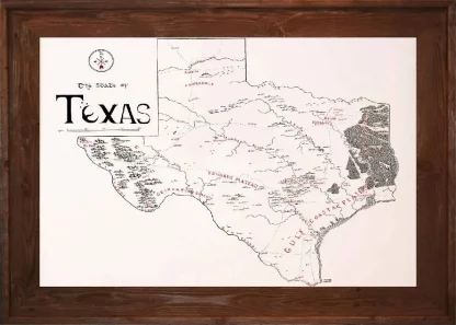 Framed Texas Map Dark