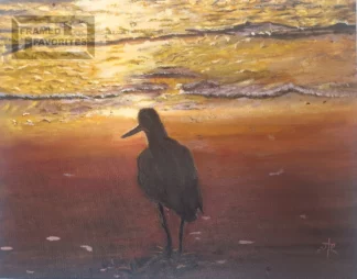 Beach Comber