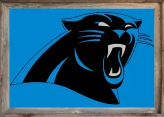 Framed Carolina Panthers Flag