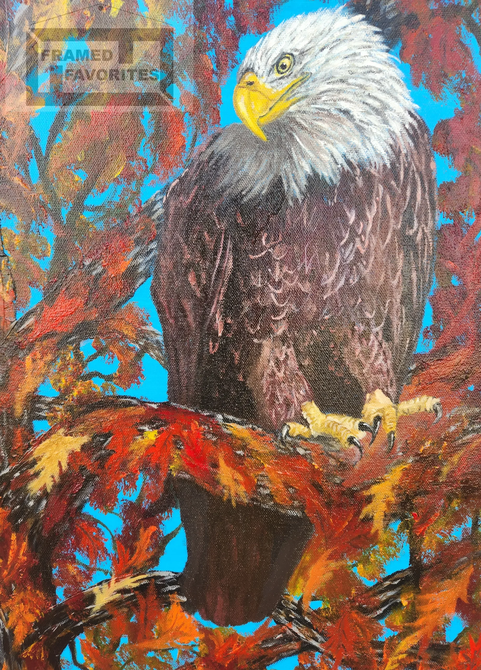 I See You by: John Peterson 2 I See You Eagle