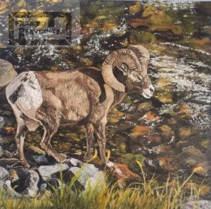 Ram-bling River