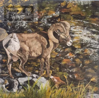 Ram-bling River