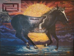 Storm Rider