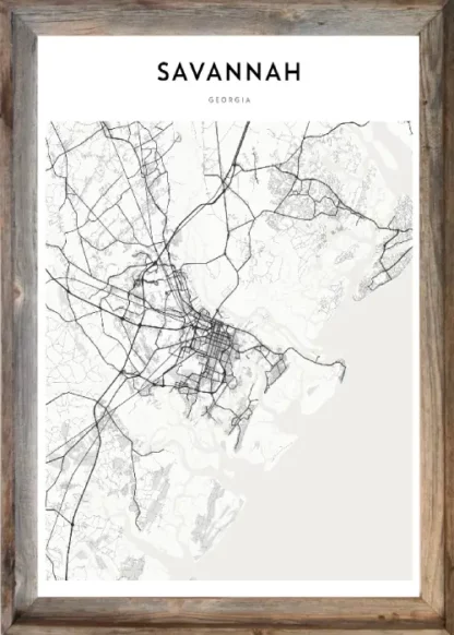 Framed Savannah Map