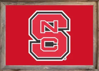 Framed NC State Flag