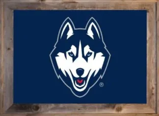 Framed UCONN Flag